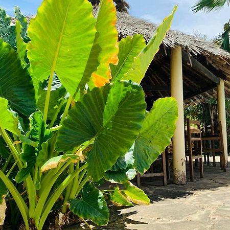 Ltorec Nyali Beach Buitenkant foto