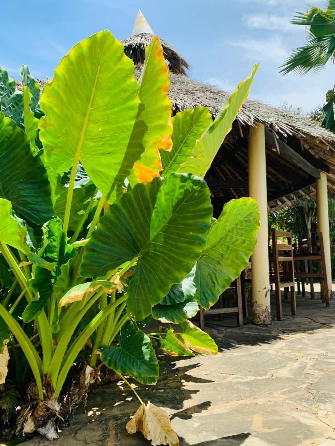 Ltorec Nyali Beach Buitenkant foto